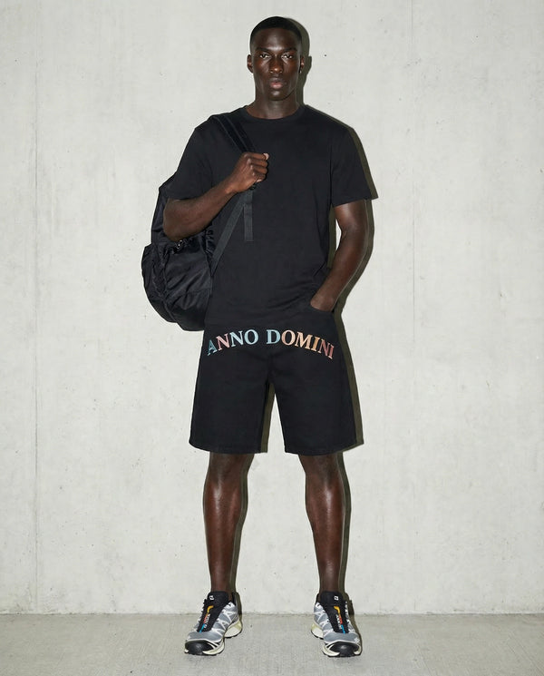 ANNO DOMINI - Rainbow Denim Shorts